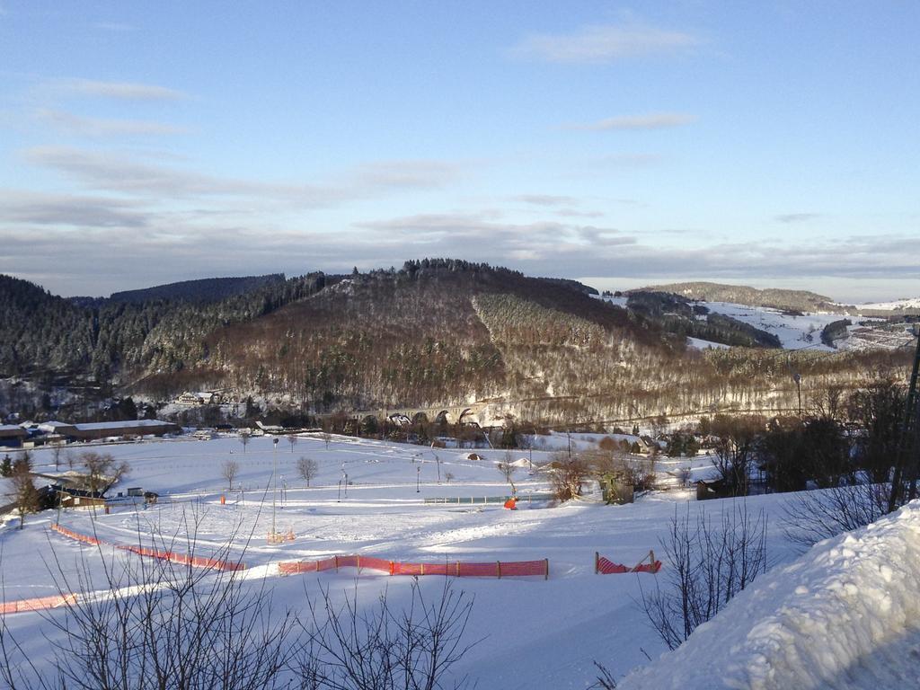 Fewo Jager Διαμέρισμα Willingen  Εξωτερικό φωτογραφία