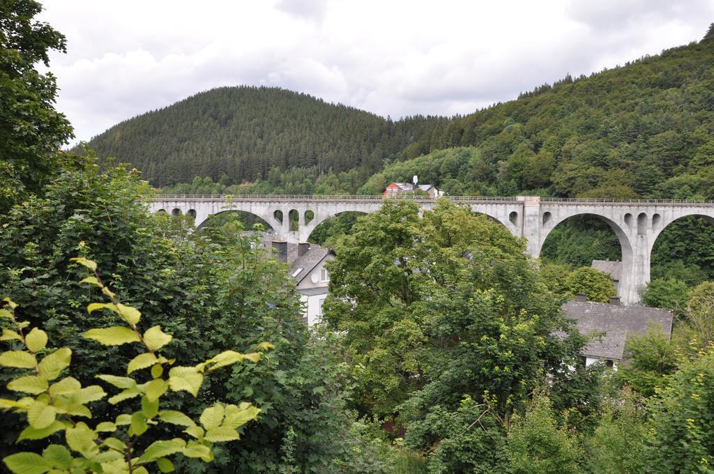 Fewo Jager Διαμέρισμα Willingen  Εξωτερικό φωτογραφία
